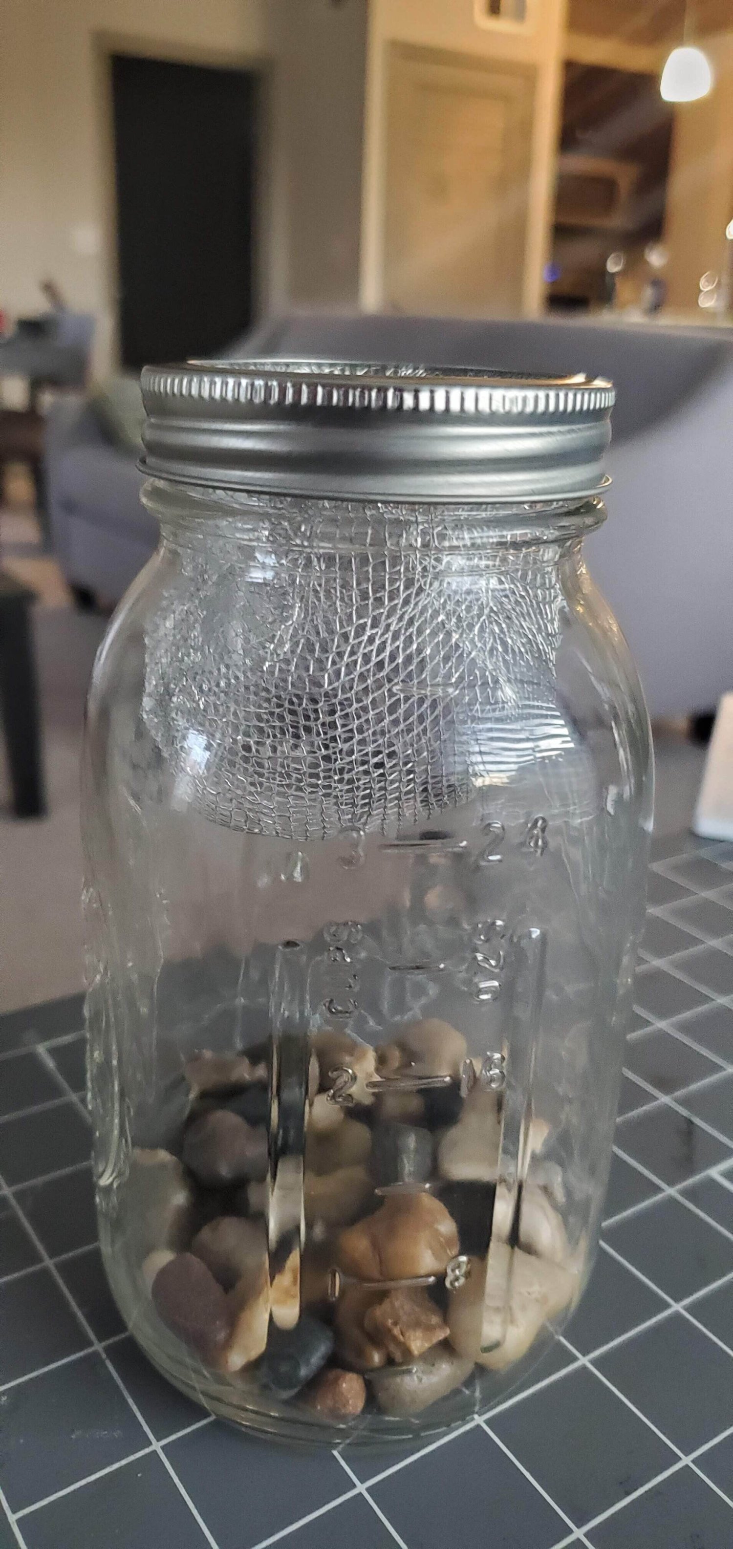 20190706_202040.jpg