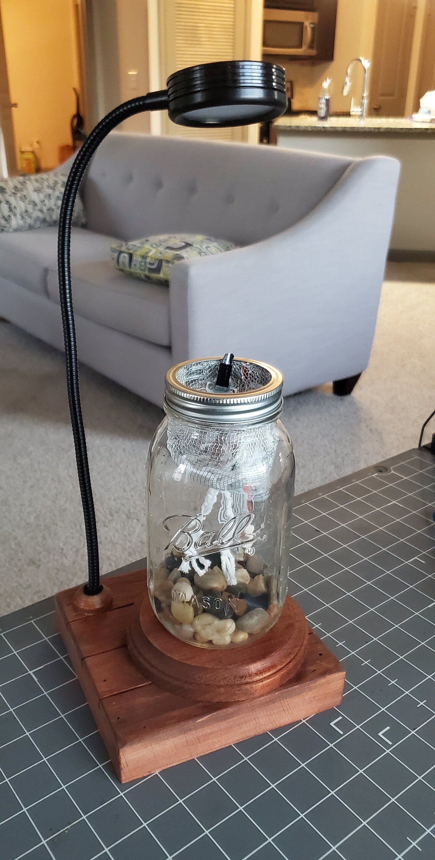 20190715_203136.jpg