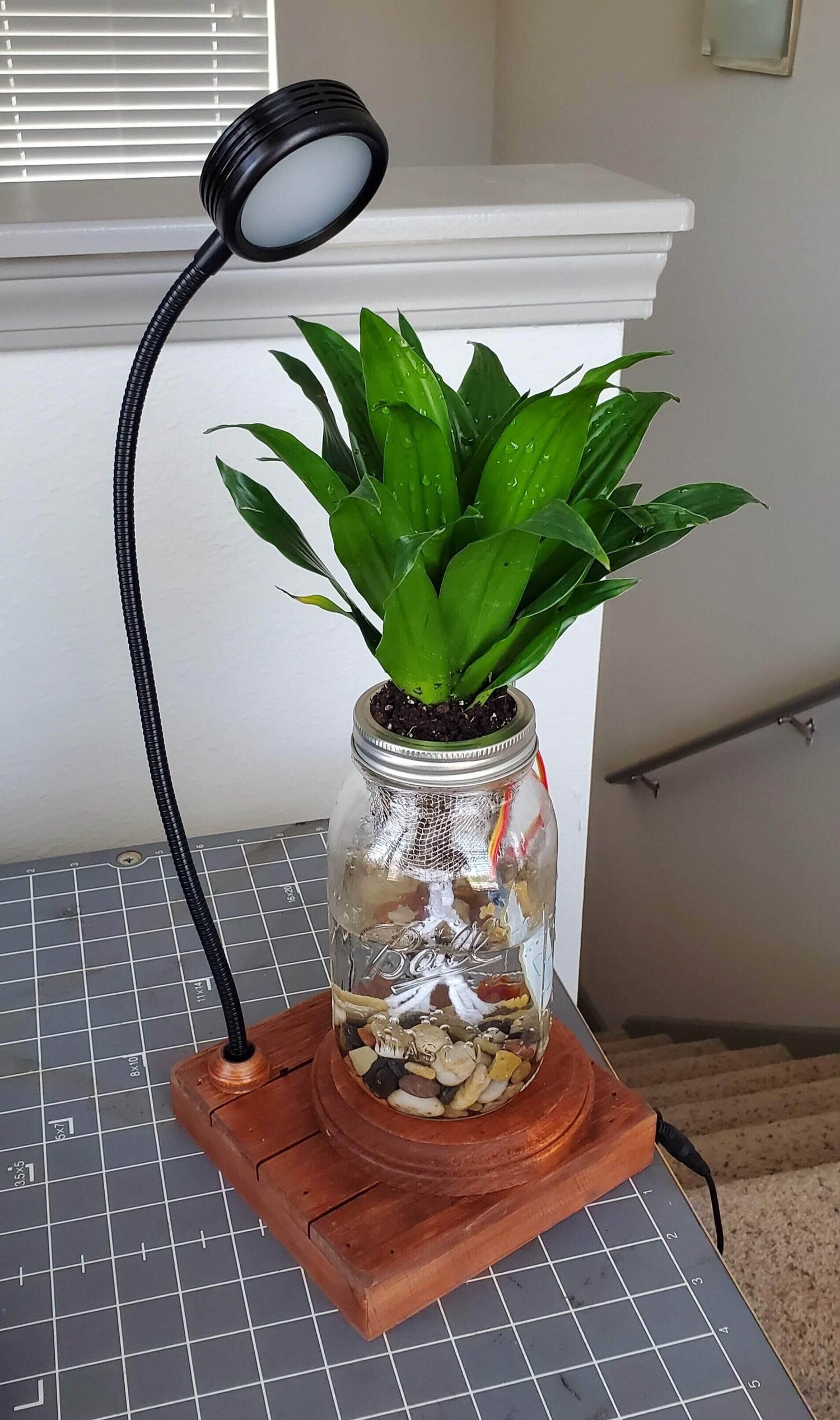 20190727_123326.jpg