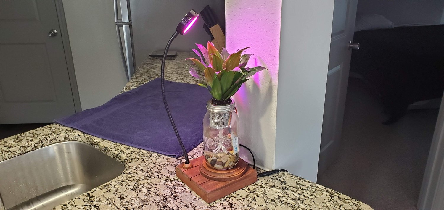 Smart IoT Planter