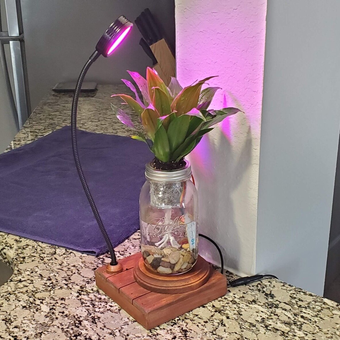 20190727_124510+%282%29.jpg