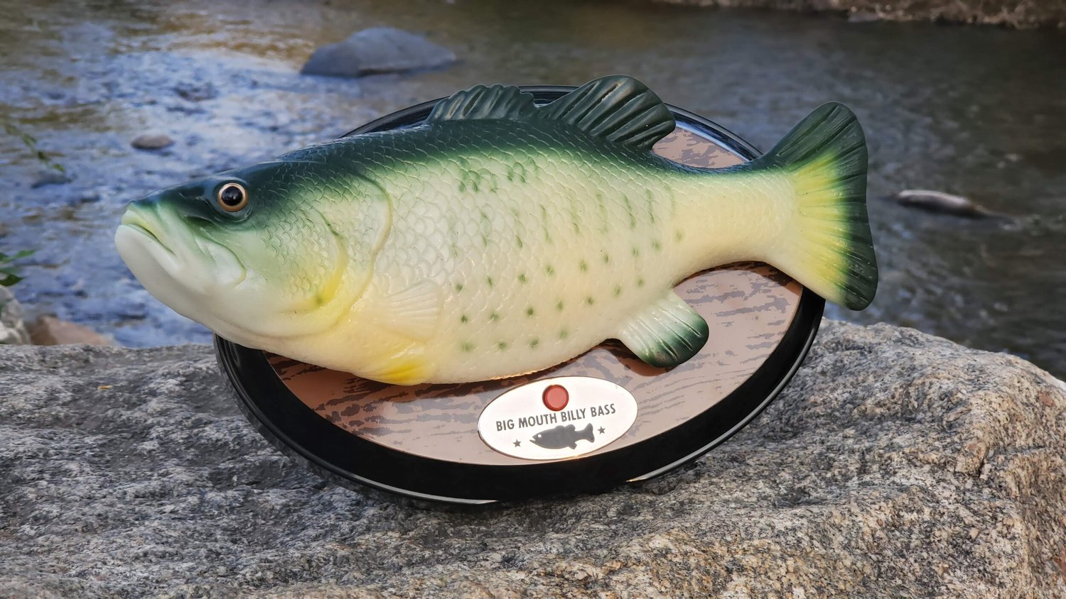 Singing Fish Alexa