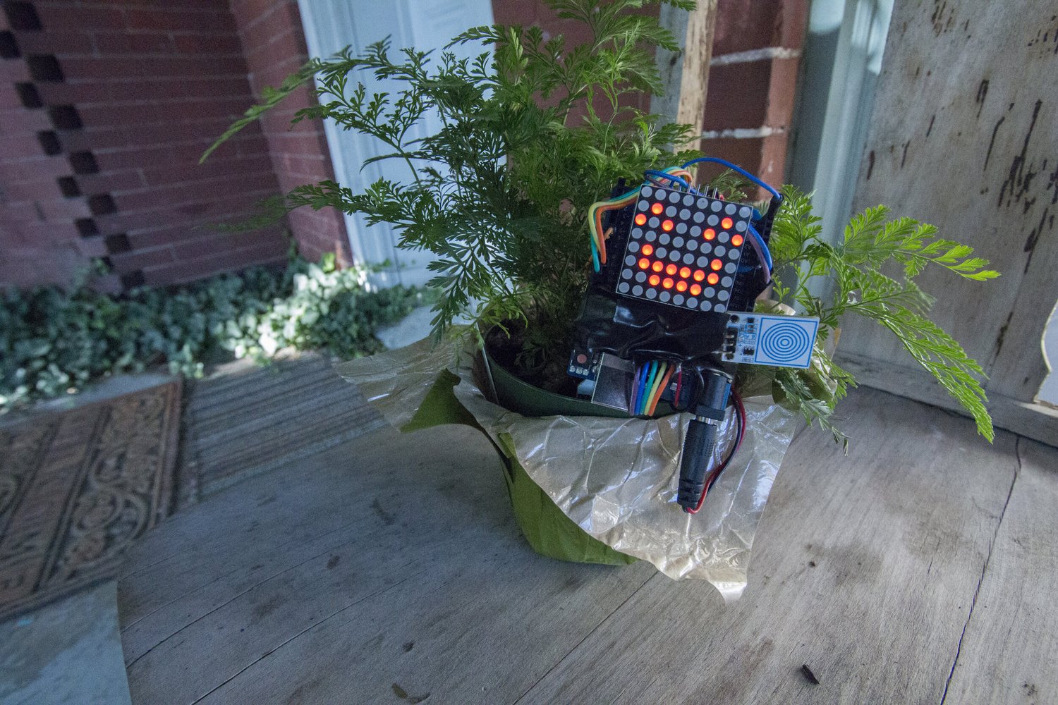 Plant Emotion Sensor (APEX)