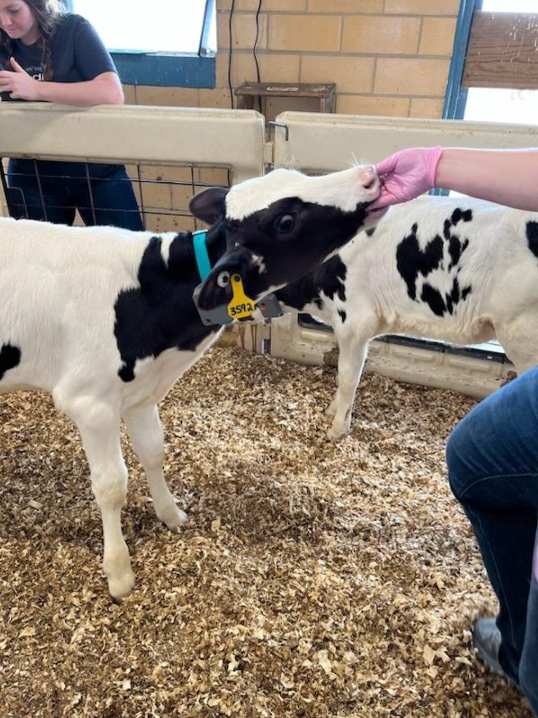 First On-Animal Test with Gen3 Sensor